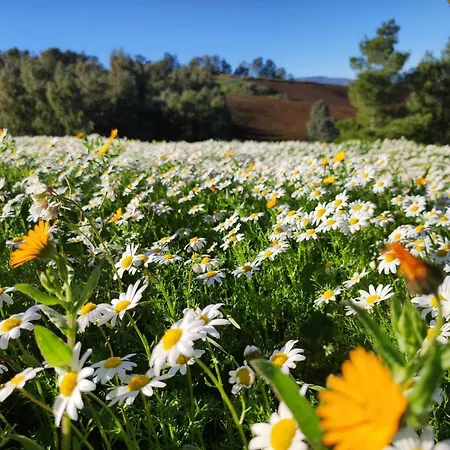 Alloggio per agriturismo Casalicchio *
