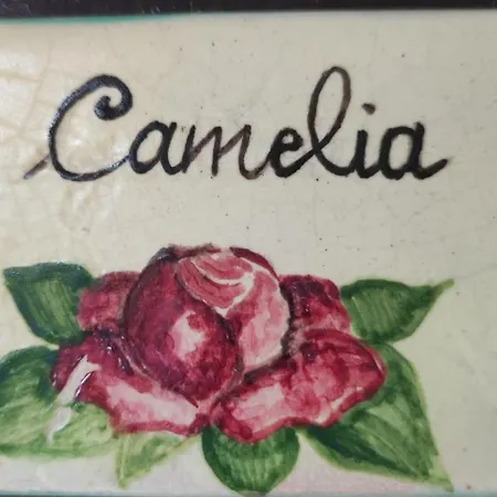 Casalicchio Farmház Cammarata