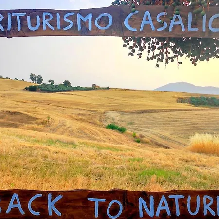 Casalicchio Farmház Cammarata